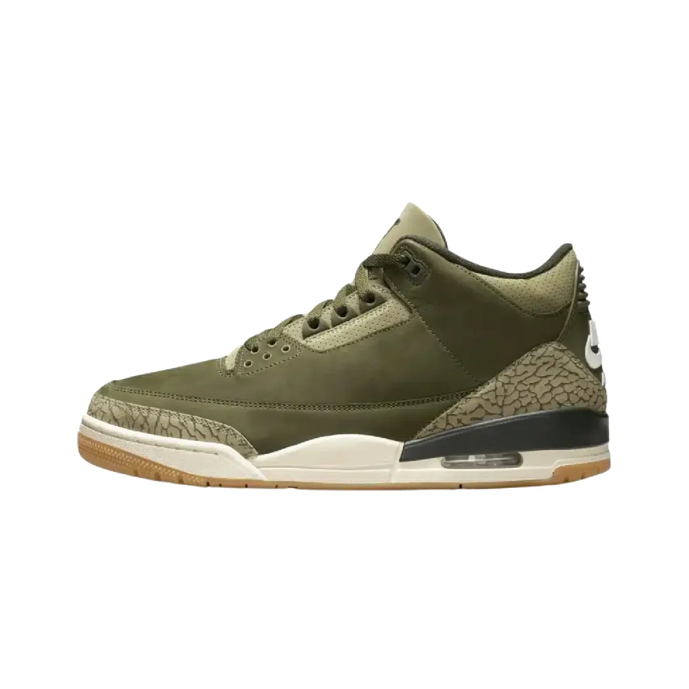 Air Jordan 3 Family Affair Sneakers Green