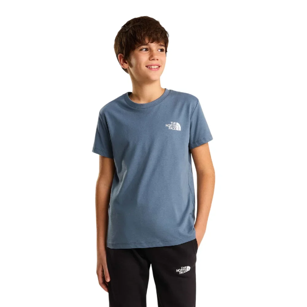 Box Nse Regular Ss T-Shirt Grey Kids - Image 3